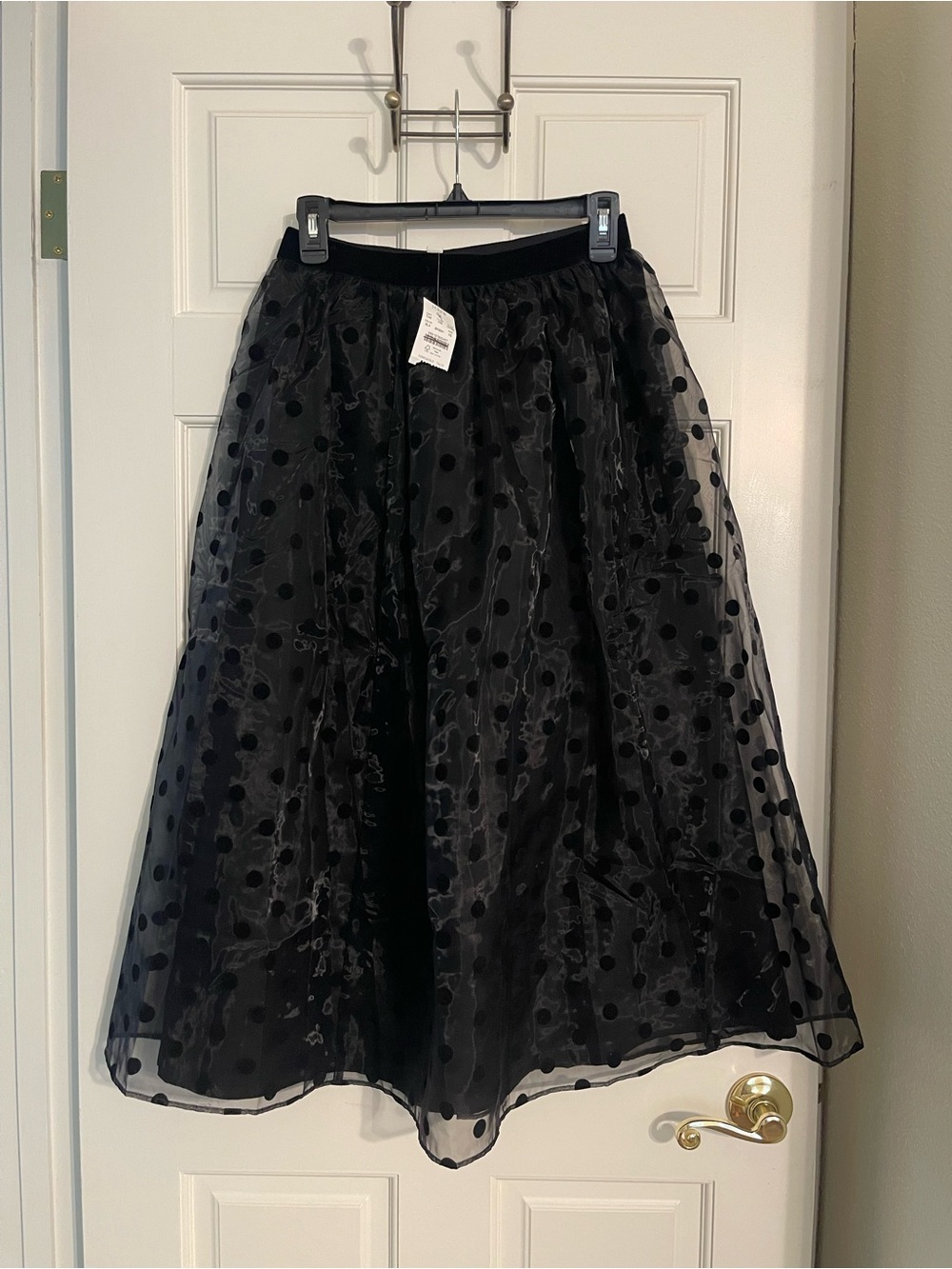 J. Crew Black Polka Dot Tulle A-Line Skirt
